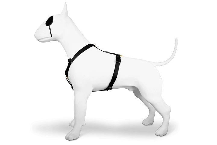Harnais en H noir pour chien