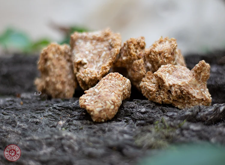 Gâteaux pour chiens Rêve coco/amande/pomme