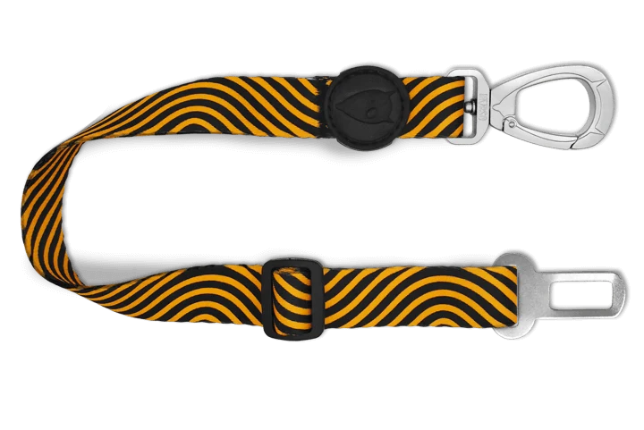Ceinture de sécurité Morso