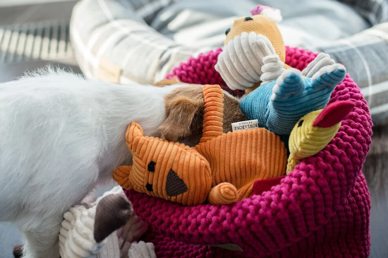Jouet pour chien stimulant Flamingo