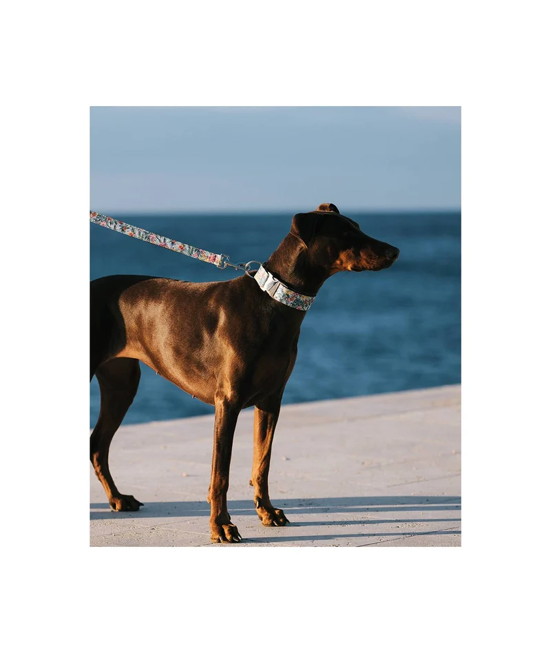 Laisse pour chien Perelada