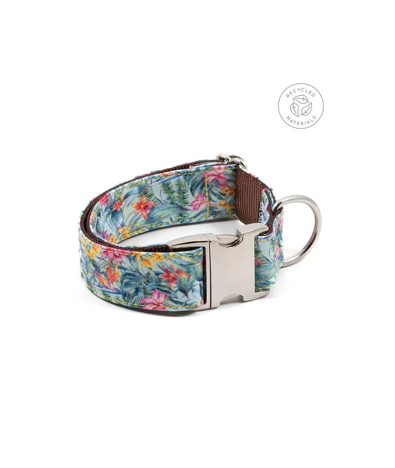 Collier pour chien Perelada
