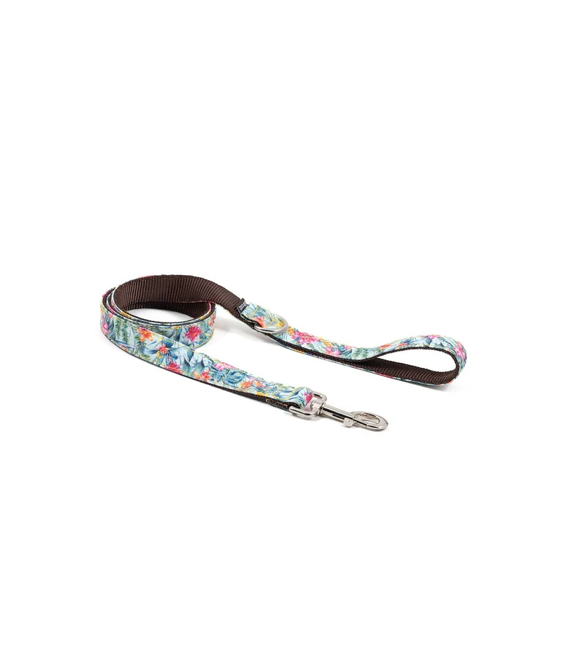 Collier pour chien Perelada