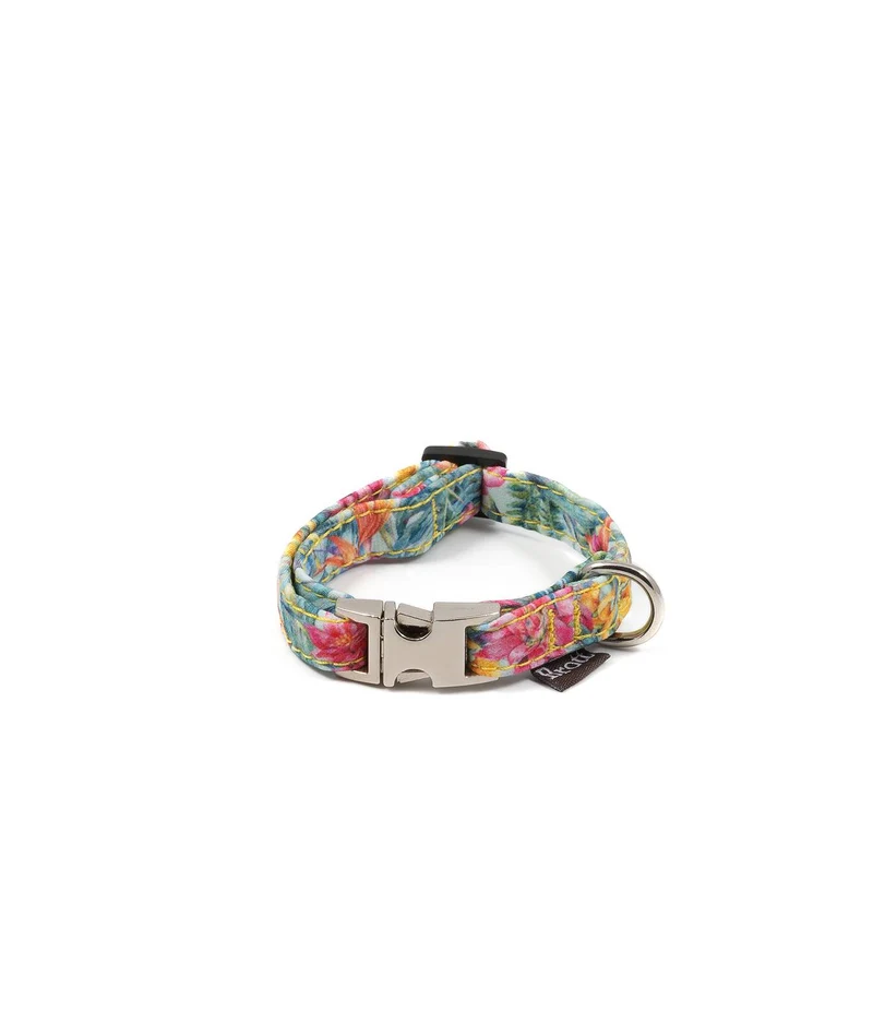 Collier pour chien Perelada