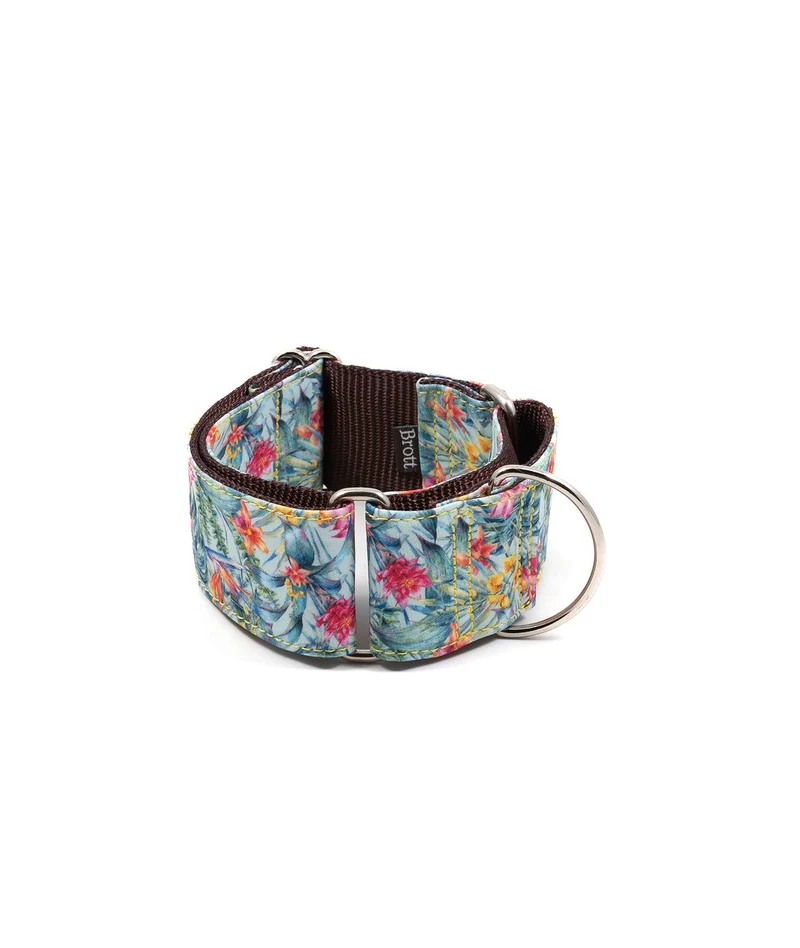 Collier pour chien Perelada