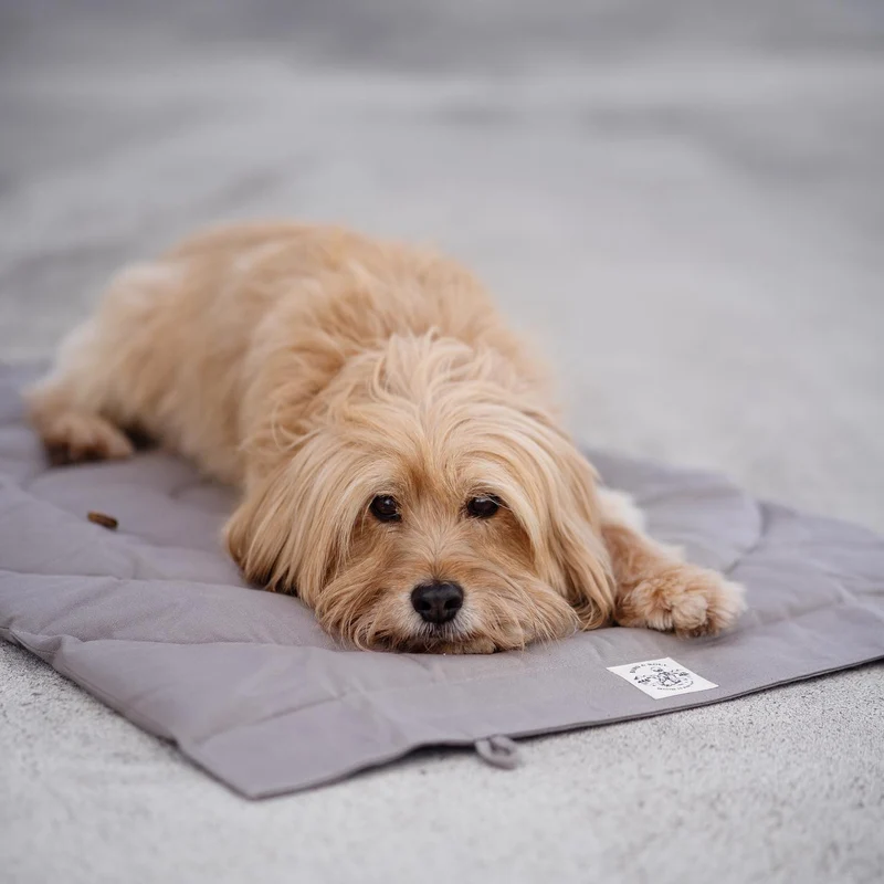 Matelas de voyage pour chien enroulable Compass Band & Roll