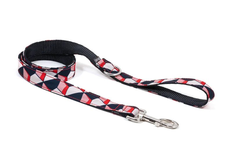 Laisse pour chien Riells