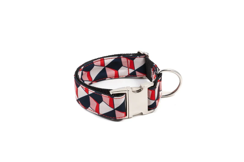 Laisse pour chien Riells