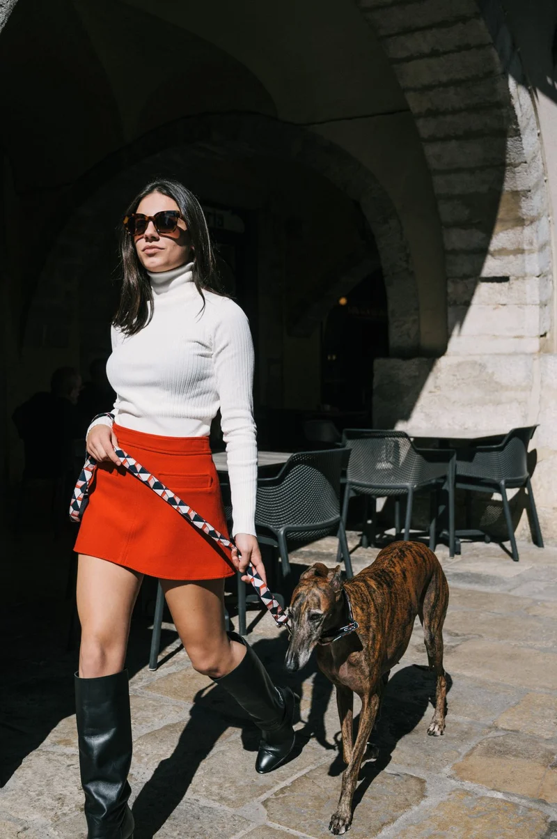 Laisse pour chien Riells