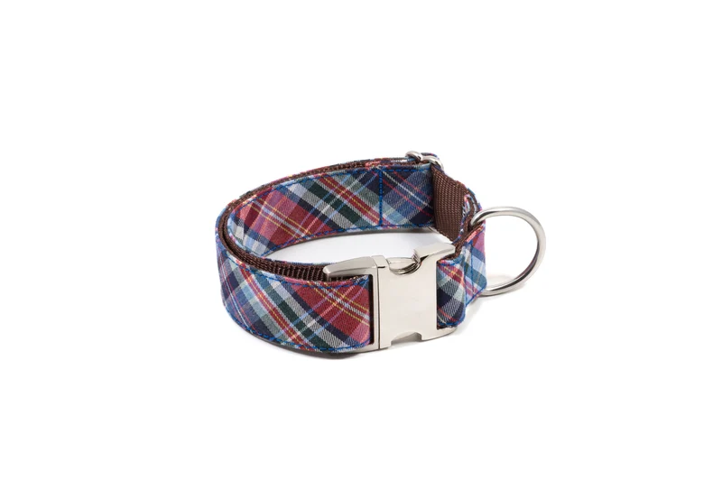 Laisse pour chien Gosol