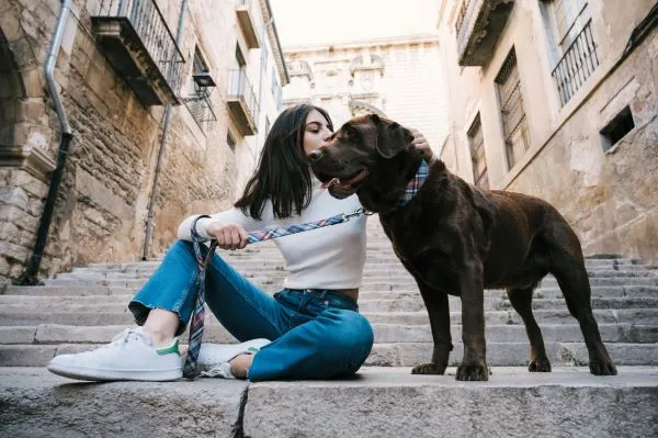Laisse pour chien Gosol