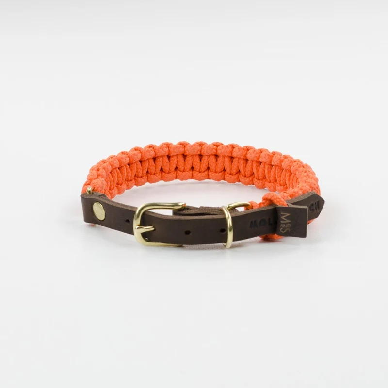 Collier pour chien en corde marine sangle cuir