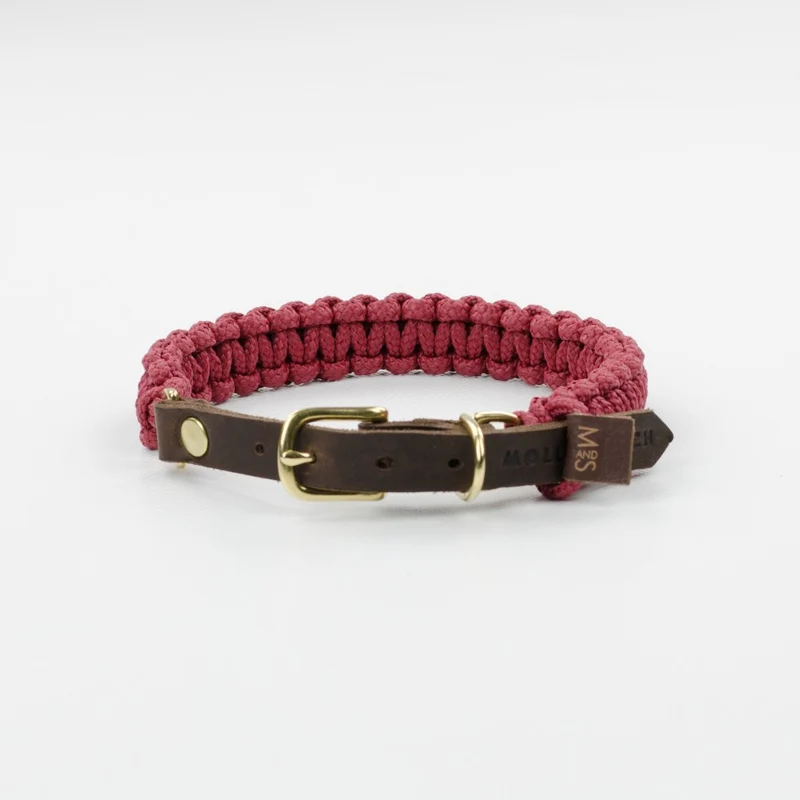 Collier pour chien en corde marine sangle cuir