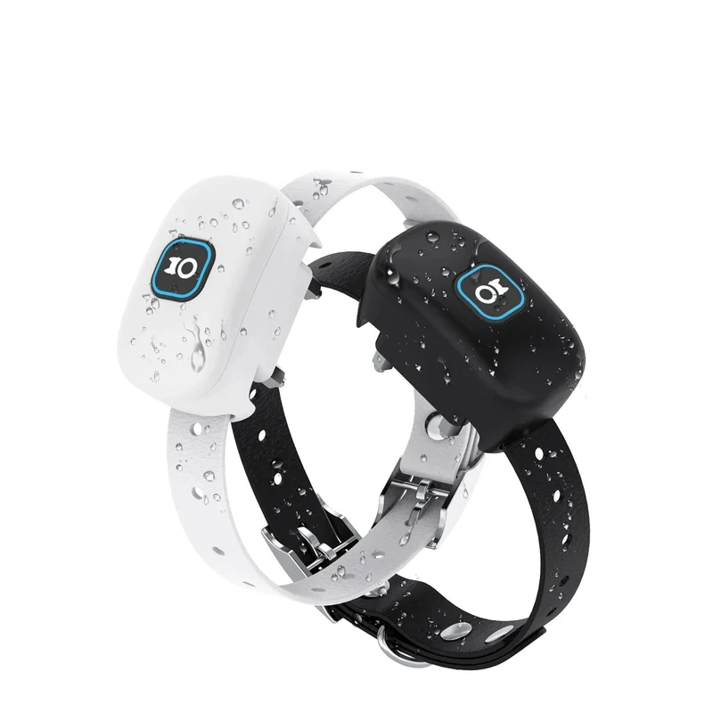 Collier anti fugue pour chien