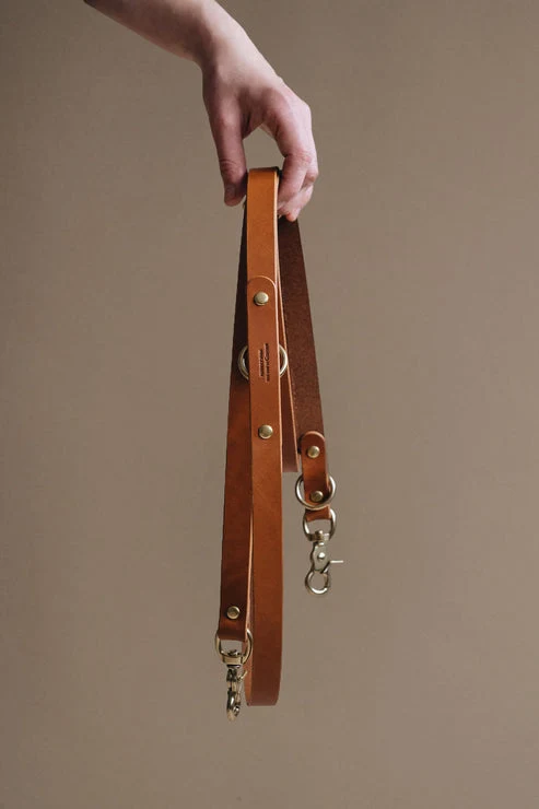 Laisse pour chien en cuir Hitch Band & Roll