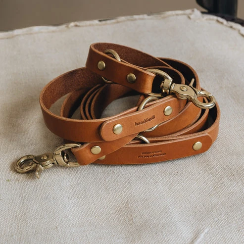 Laisse pour chien en cuir ajustable Lasso Band & Roll
