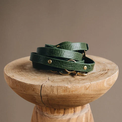 Laisse pour chien en cuir ajustable Lasso Band & Roll