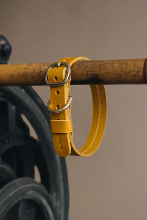Collier pour chien en cuir Fir Band & Roll
