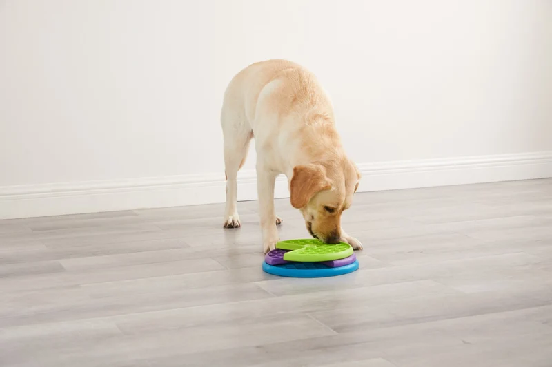 Puzzle pour chien Lickin’ Layers