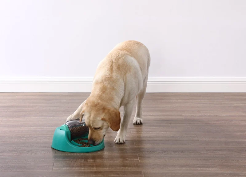 Puzzle pour chien Spin N' Eat