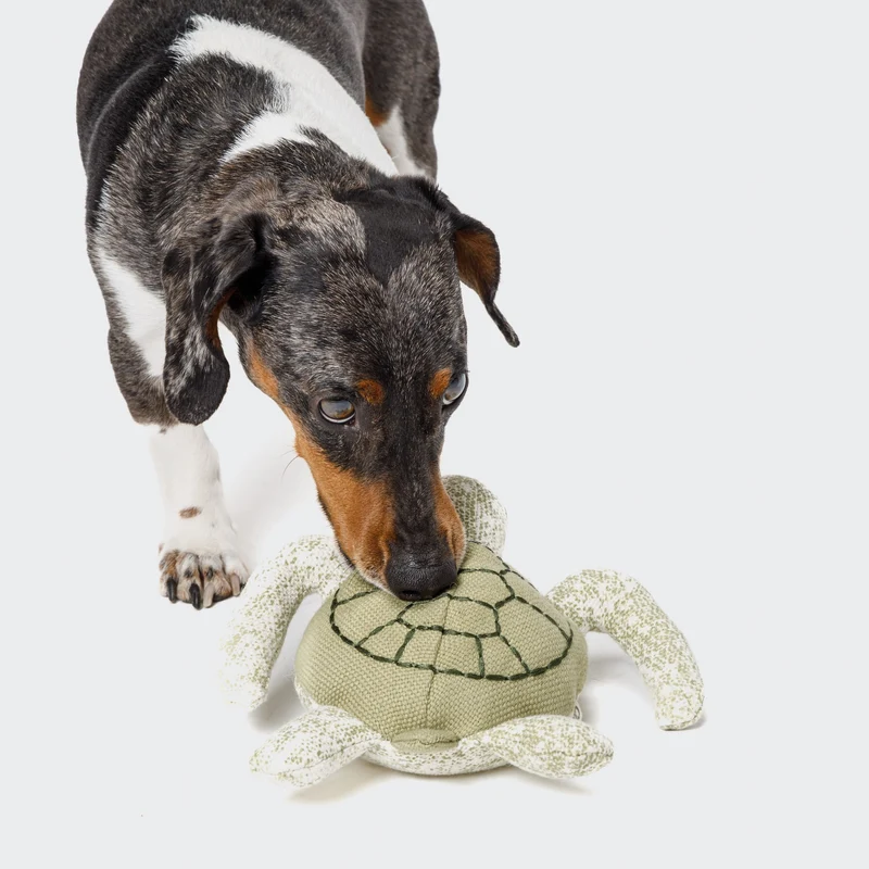 Jouet tortue pour chien Enna