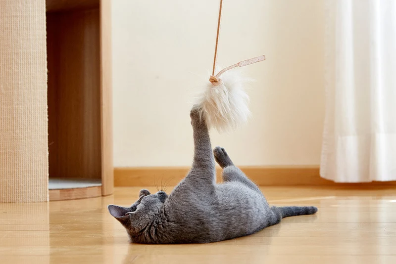 Jouet pour chat Topo en laine de mouton