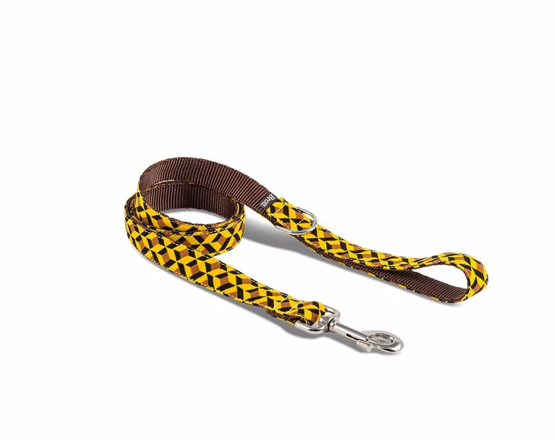 Collier pour chien UR