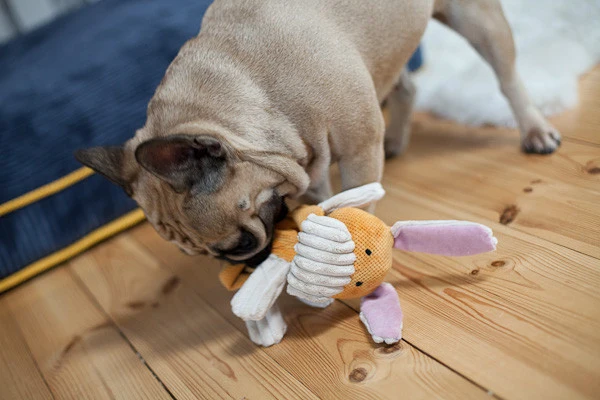 Jouet pour chien stimulant Bax