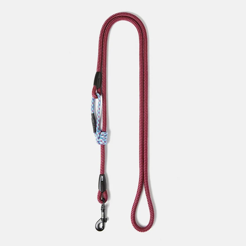 Laisse pour chien en corde d'escalade