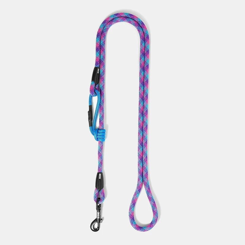 Laisse pour chien en corde d'escalade