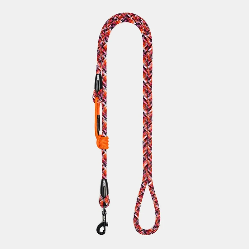 Laisse pour chien en corde d'escalade