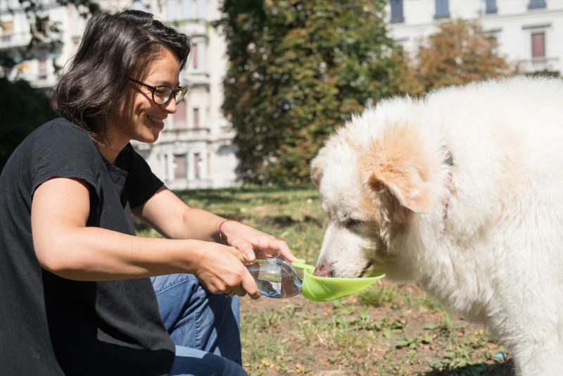 Gourde pour chien avec distributeur d’eau