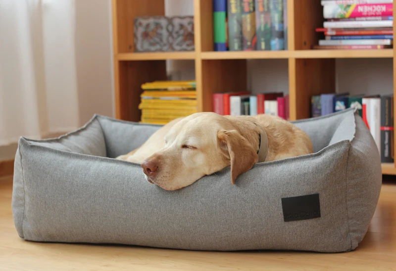 Panier pour chien Nube
