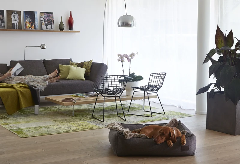 Panier pour chien Nube