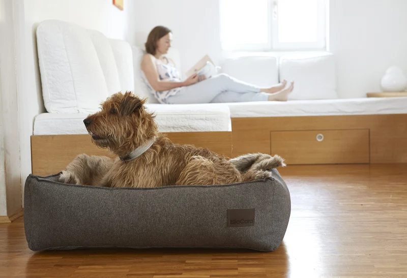 Panier pour chien Nube