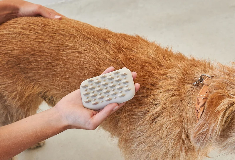 Brosse pour chien (poil court et long)