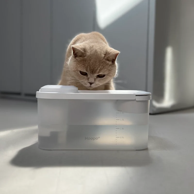 Fontaine à eau pour chat sans fil silencieuse