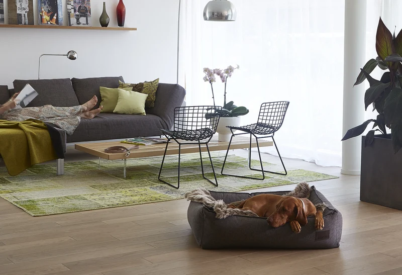 Couverture plaid pour chat et chien Lana