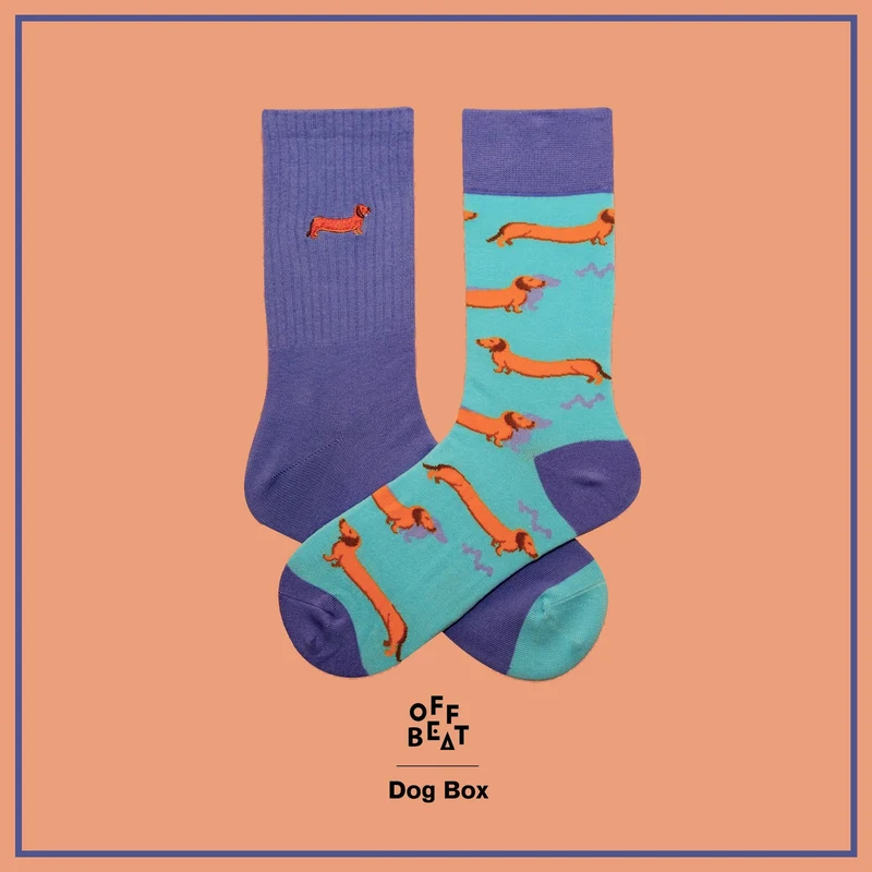 Coffret Cadeau Chaussettes Chien