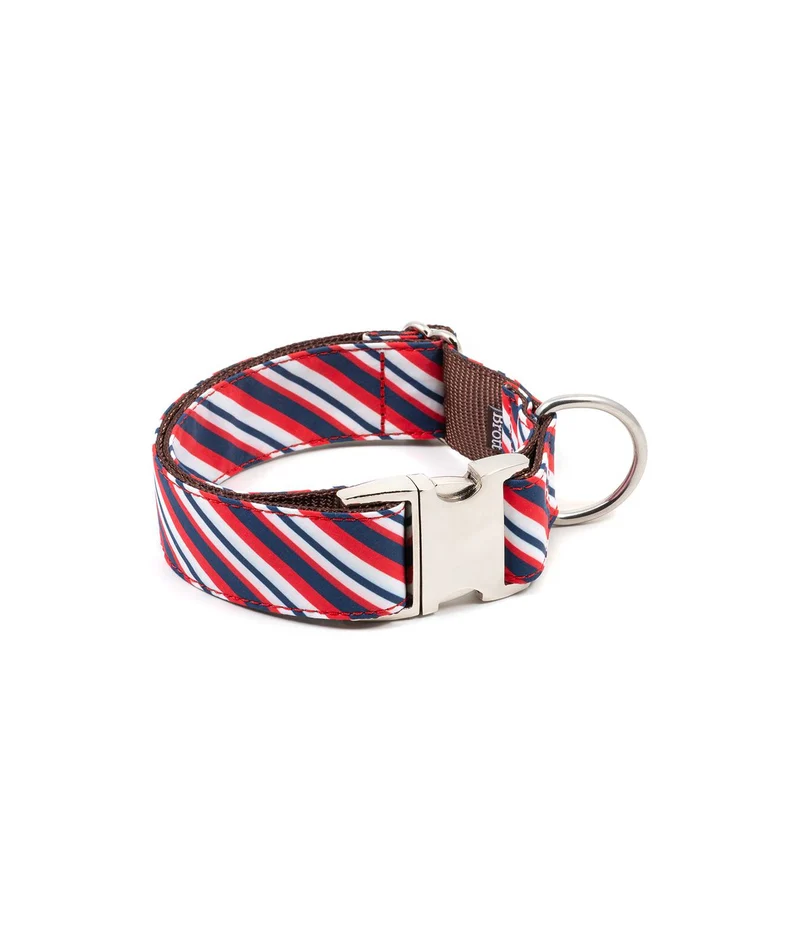 Laisse pour chien Calella