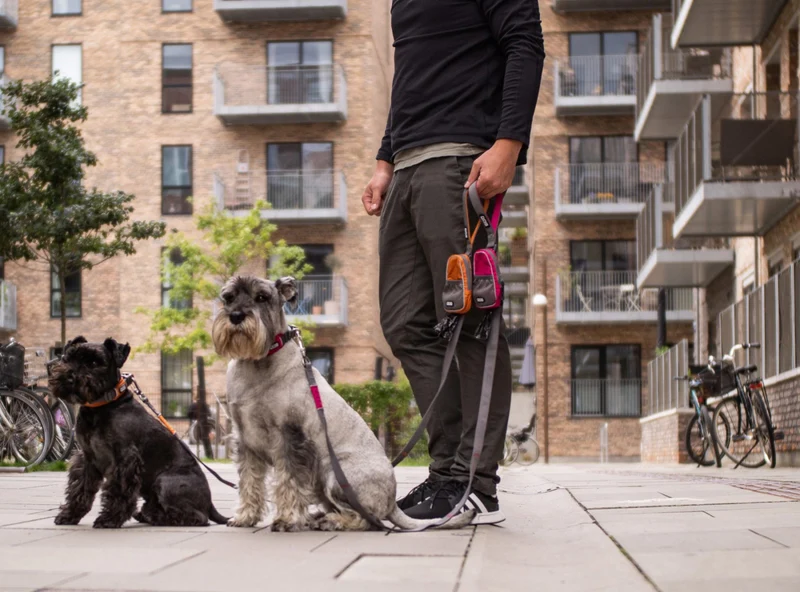 Laisse Urban Trail Dog Copenhagen [New]