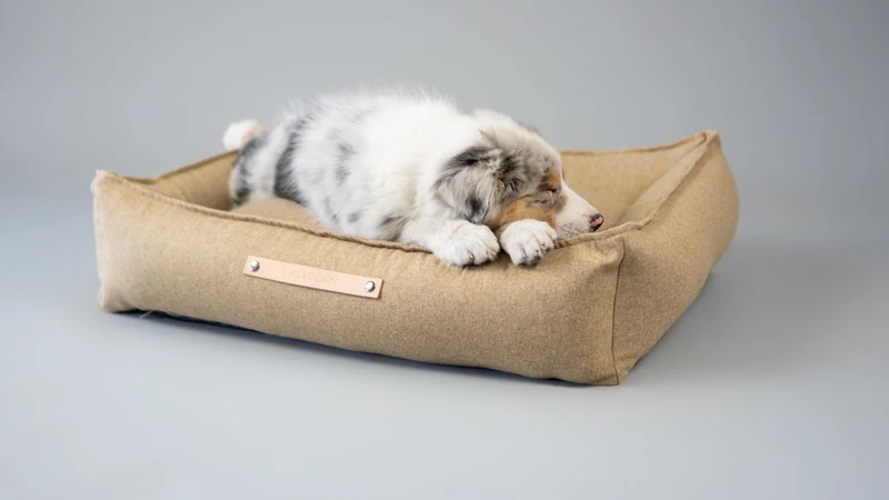 Panier pour chien scandinave MØVIK