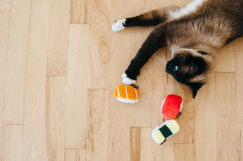 Jouet Sushi pour chat à la cataire