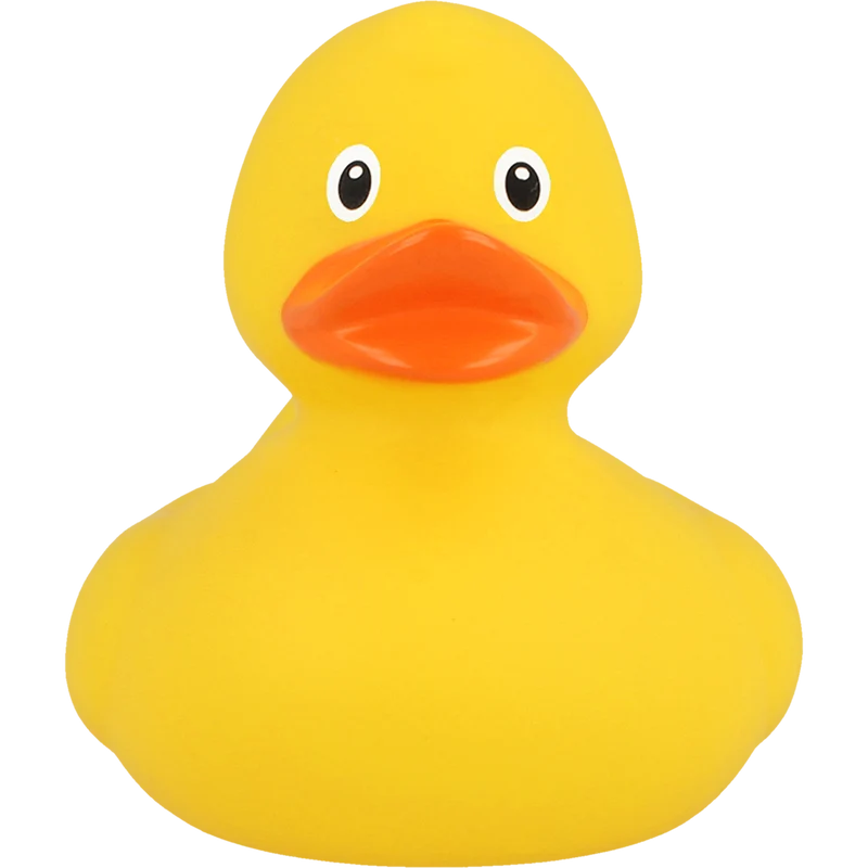 Pack de Canards Unis – 6 Couleurs