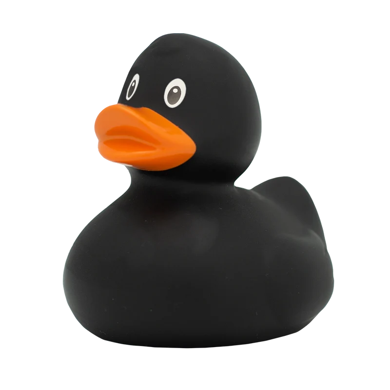 Pack de Canards Unis – 6 Couleurs