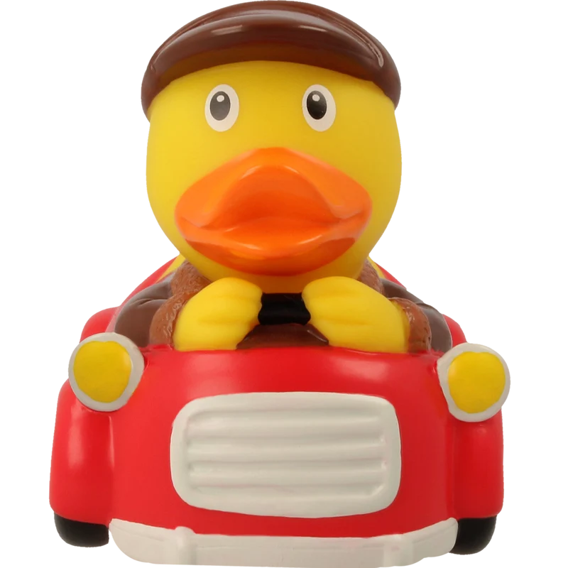 Duo de Canards Automobilistes – Homme et Femme