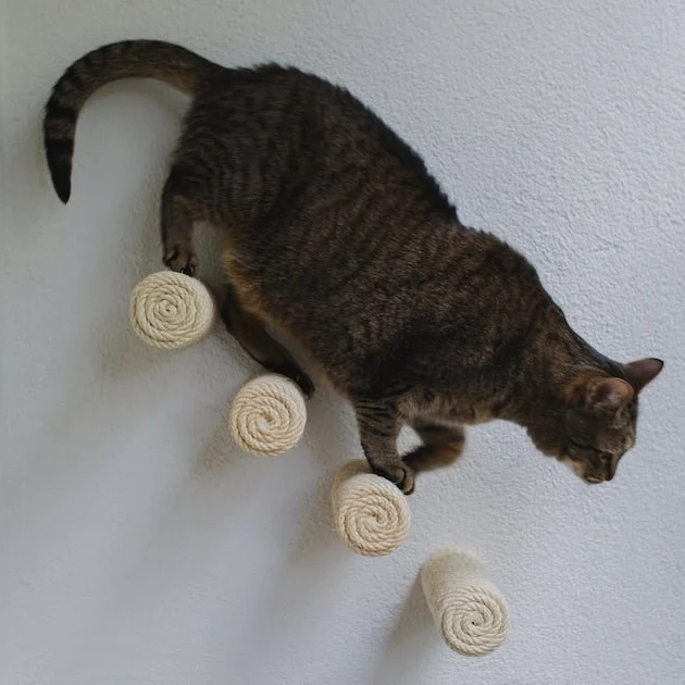 Marches murales pour chat - Escalade design mural