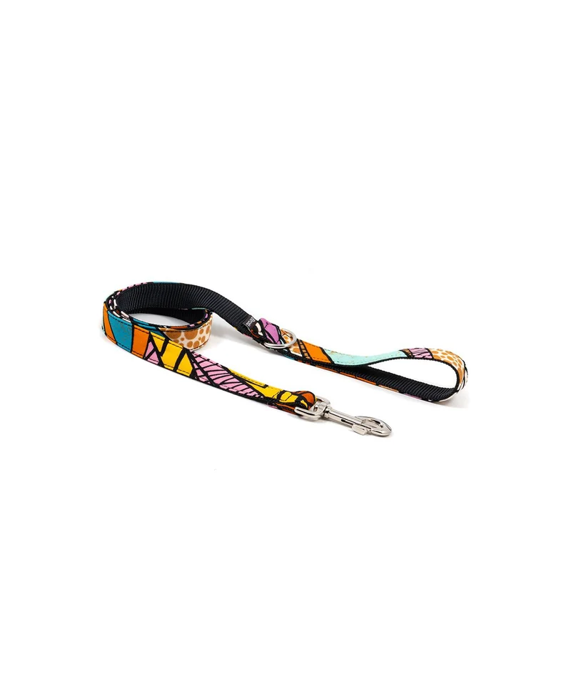 Collier pour chien Guell