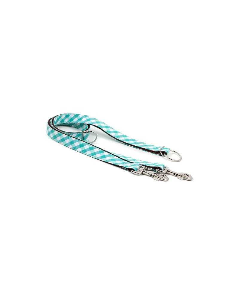 Collier pour chien Pedrosa