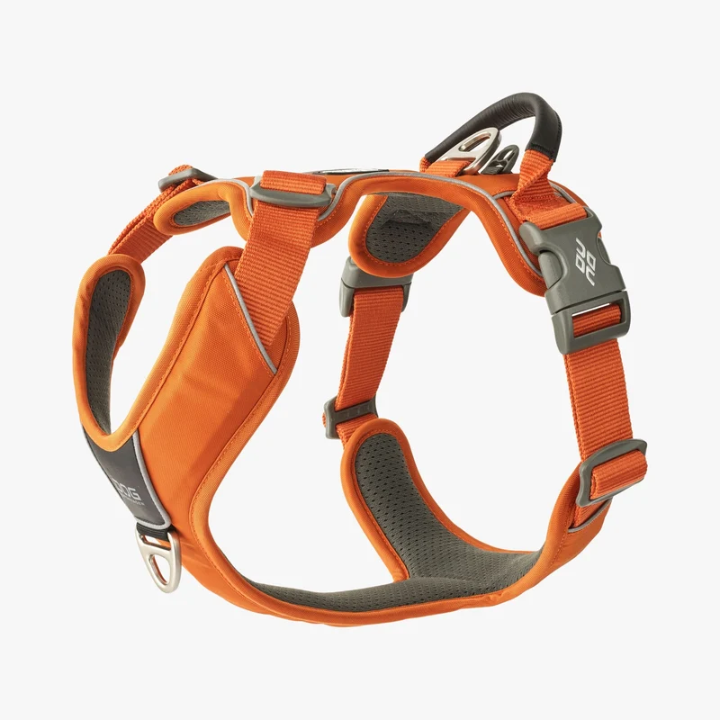 Harnais pour chien Dog Copenhagen Comfort Walk Pro